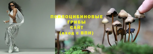 дурь Алзамай
