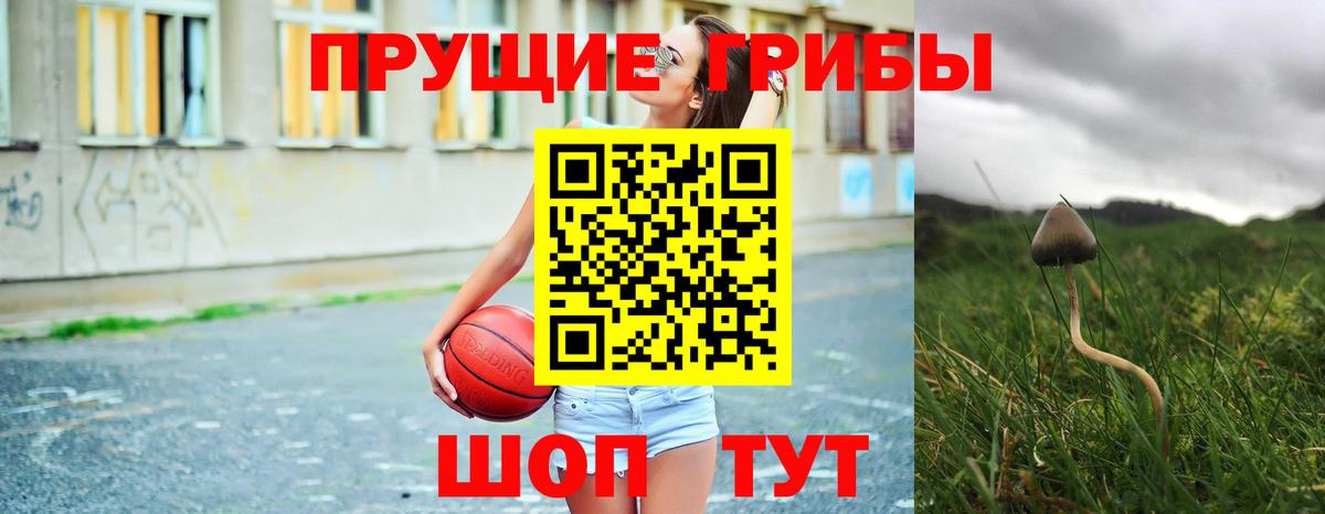Галлюциногенные грибы мицелий  где купить наркоту  Куйбышев  Вход с VPN 
